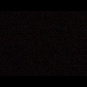 Meet your Posher, Dan